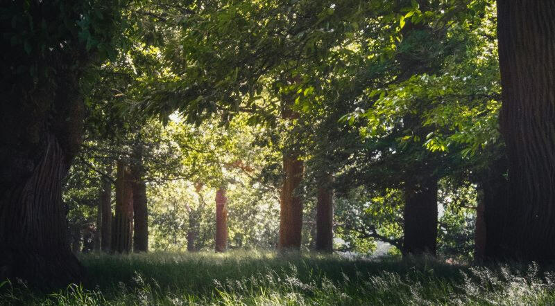Menopausal women sharing stories.